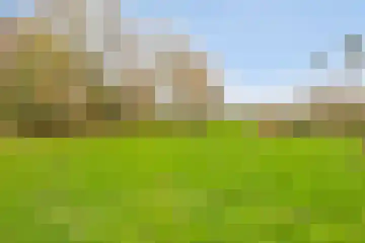 Boerweg 6 a Hasselt thumbnail 34