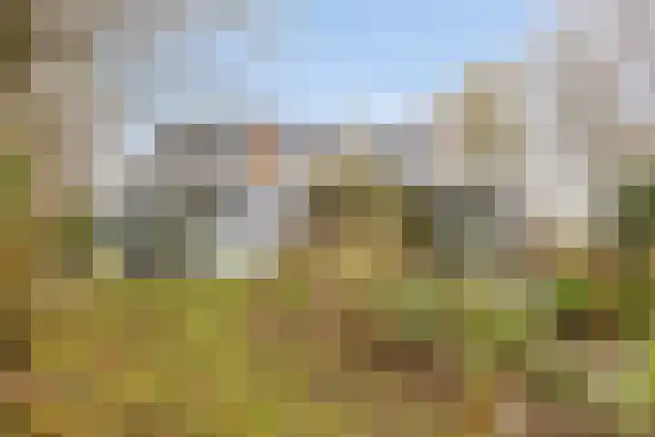 Boerweg 6 a Hasselt thumbnail 4
