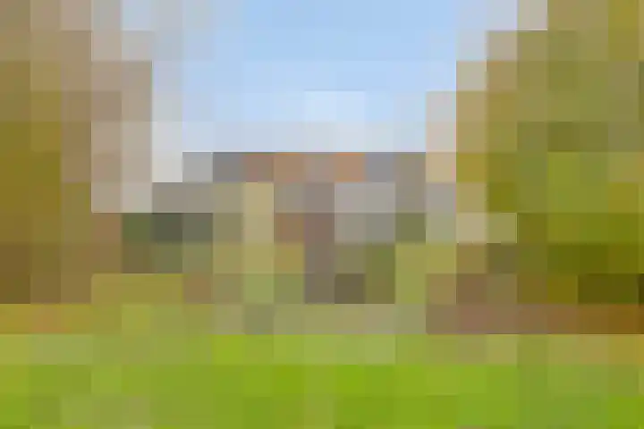 Boerweg 6 a Hasselt thumbnail 5