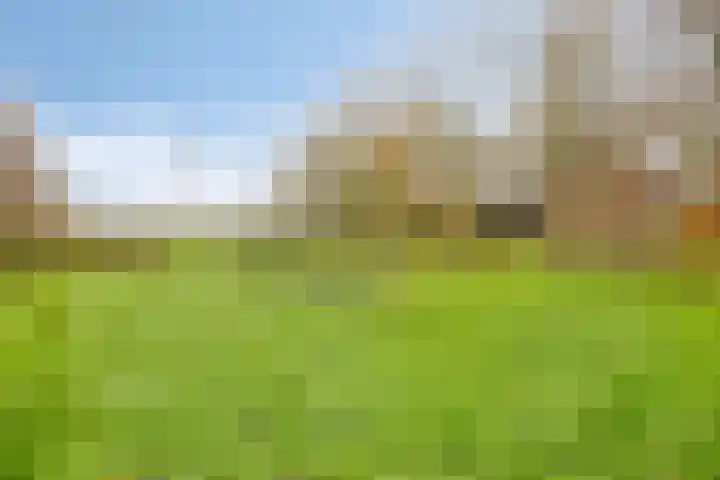 Boerweg 6 a Hasselt thumbnail 6