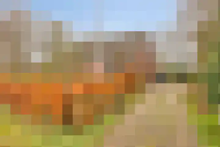 Boerweg 6 a Hasselt thumbnail 7