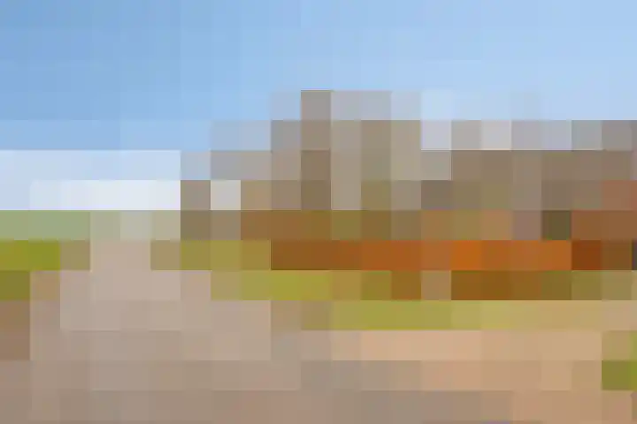 Boerweg 6 a Hasselt thumbnail 8