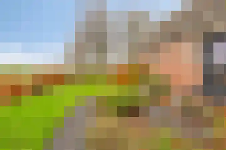 Boerweg 6 a Hasselt thumbnail 9