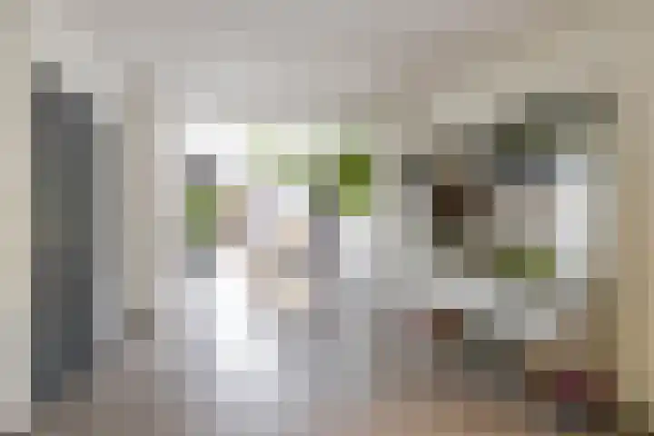 Boerzand 11 Tynaarlo thumbnail 12