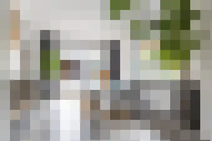 Boerzand 11 Tynaarlo thumbnail 13