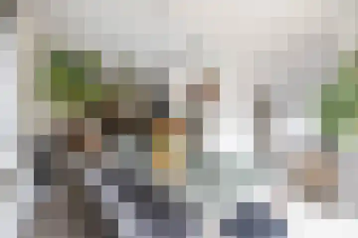 Boerzand 11 Tynaarlo thumbnail 14