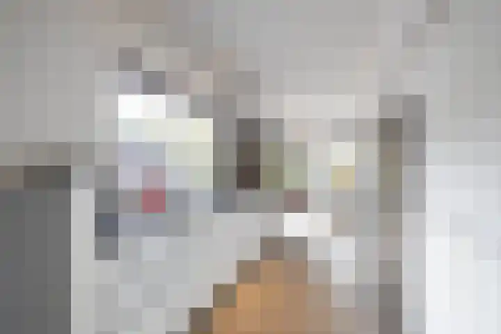 Boerzand 11 Tynaarlo thumbnail 16