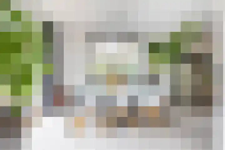 Boerzand 11 Tynaarlo thumbnail 17