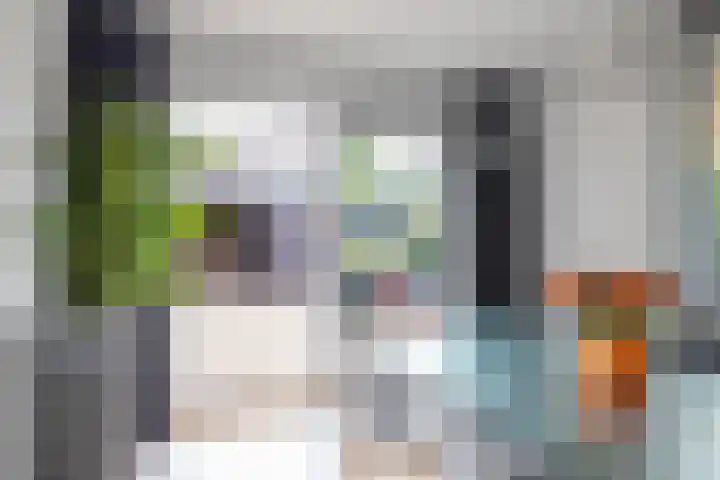 Boerzand 11 Tynaarlo thumbnail 18