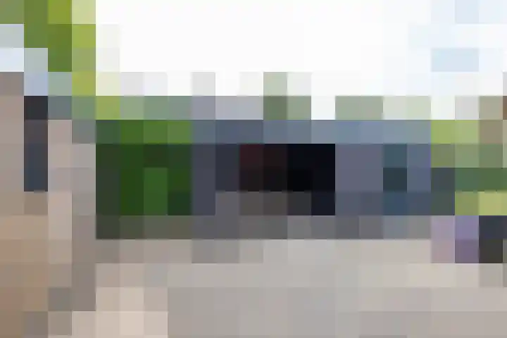 Boerzand 11 Tynaarlo thumbnail 19