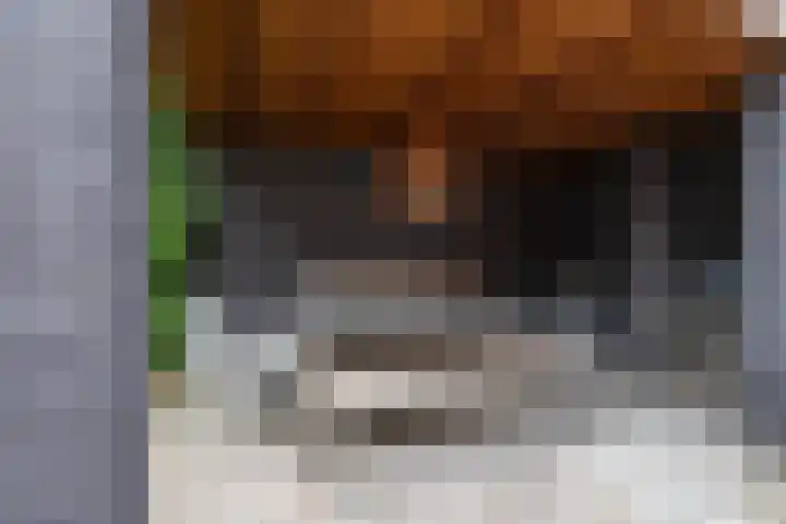Boerzand 11 Tynaarlo thumbnail 20