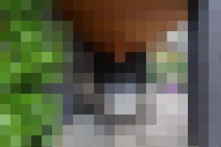 Boerzand 11 Tynaarlo thumbnail 21