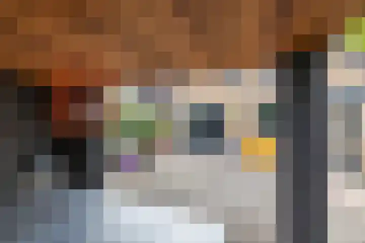 Boerzand 11 Tynaarlo thumbnail 22