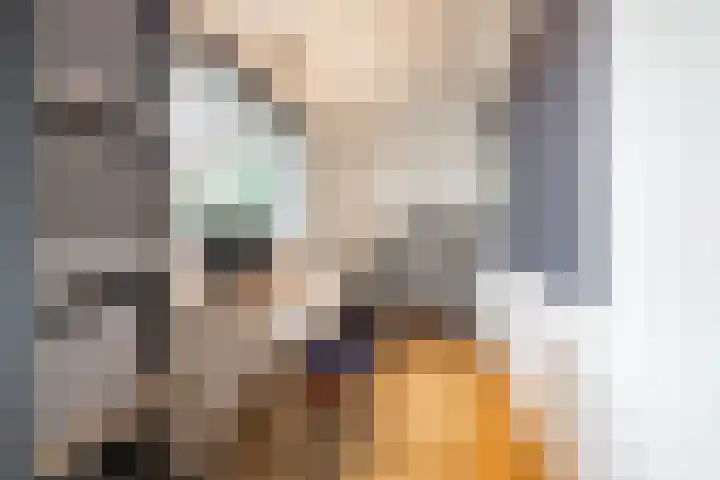 Boerzand 11 Tynaarlo thumbnail 25
