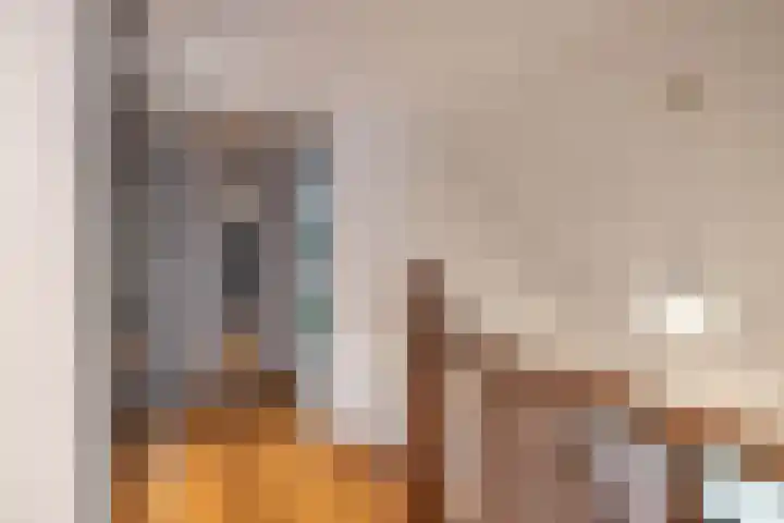 Boerzand 11 Tynaarlo thumbnail 30