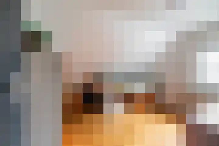 Boerzand 11 Tynaarlo thumbnail 31