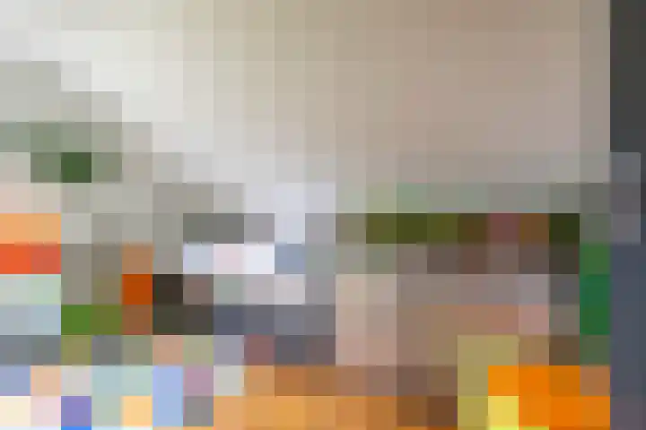 Boerzand 11 Tynaarlo thumbnail 33