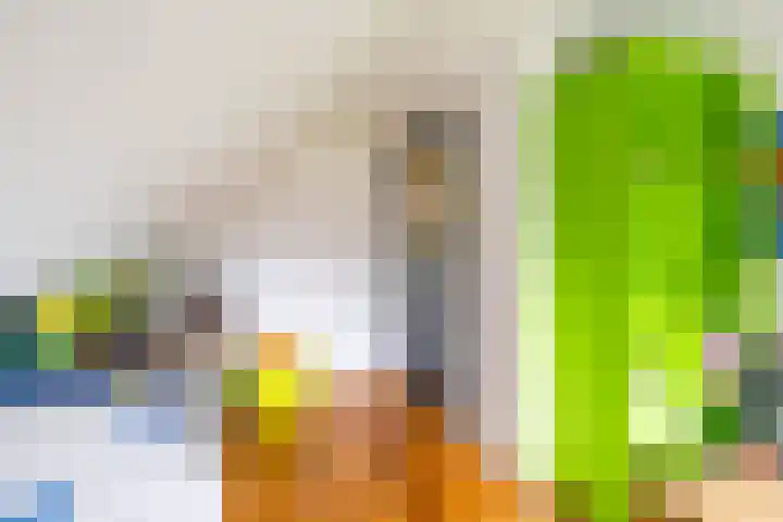 Boerzand 11 Tynaarlo thumbnail 35