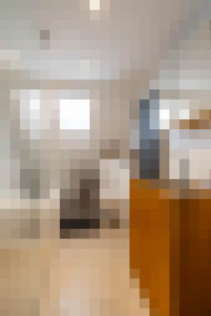 Boerzand 11 Tynaarlo thumbnail 36