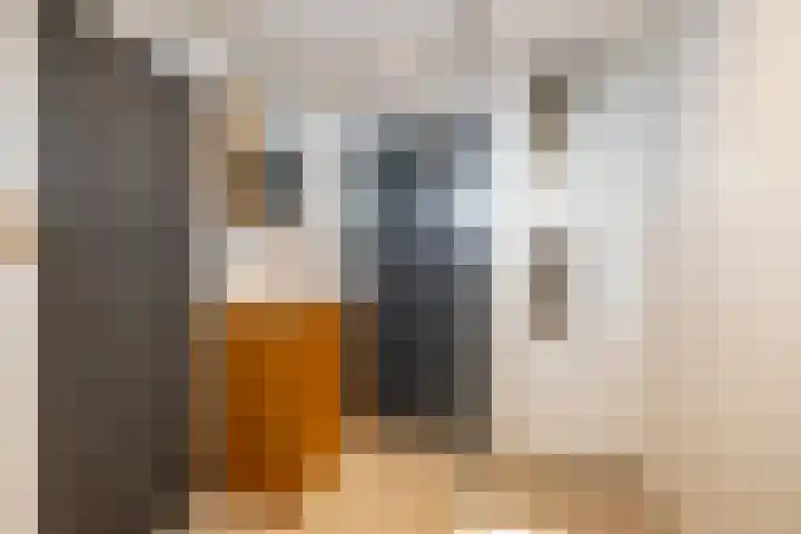 Boerzand 11 Tynaarlo thumbnail 38