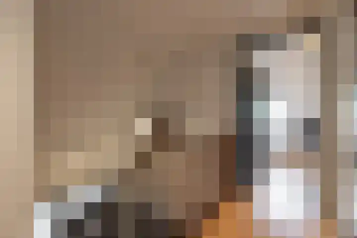 Boerzand 11 Tynaarlo thumbnail 39