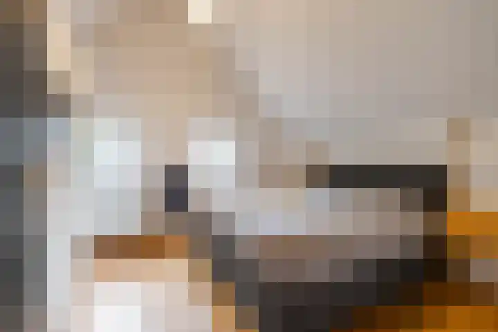 Boerzand 11 Tynaarlo thumbnail 40