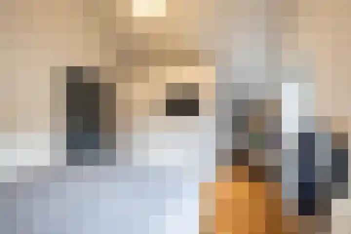 Boerzand 11 Tynaarlo thumbnail 41