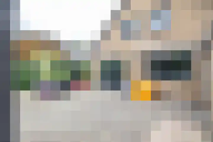 Boerzand 11 Tynaarlo thumbnail 43