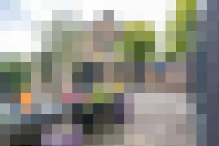 Boerzand 11 Tynaarlo thumbnail 44