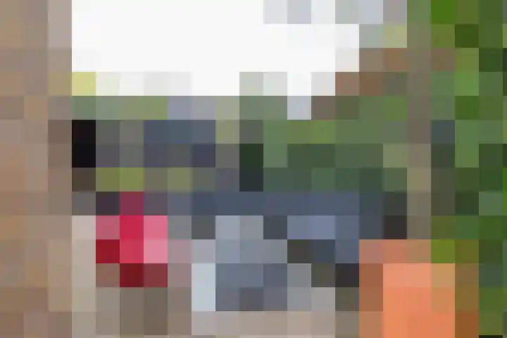 Boerzand 11 Tynaarlo thumbnail 45