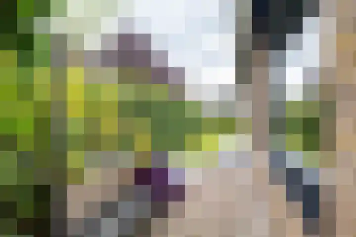 Boerzand 11 Tynaarlo thumbnail 46