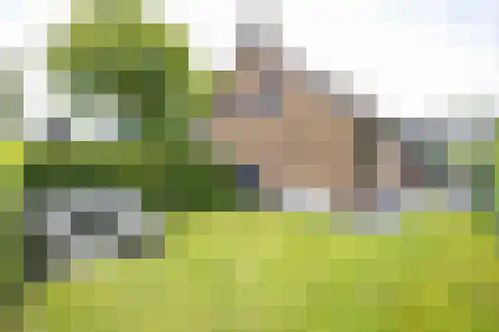 Boerzand 11 Tynaarlo thumbnail 47