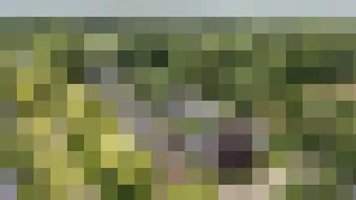 Boerzand 11 Tynaarlo thumbnail 49