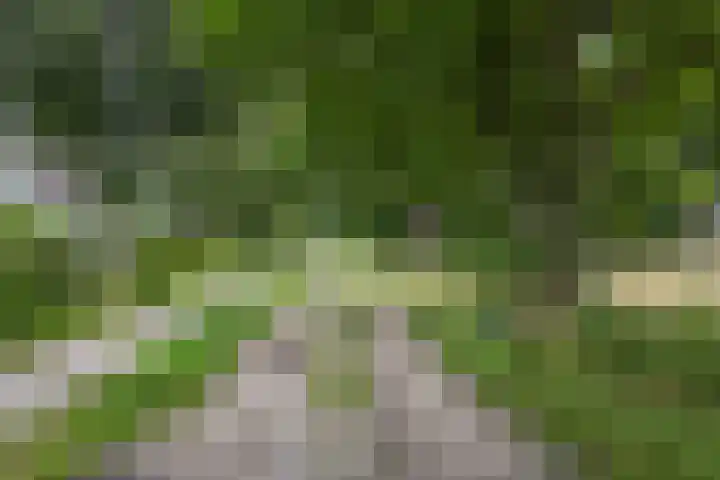 Boerzand 11 Tynaarlo thumbnail 50