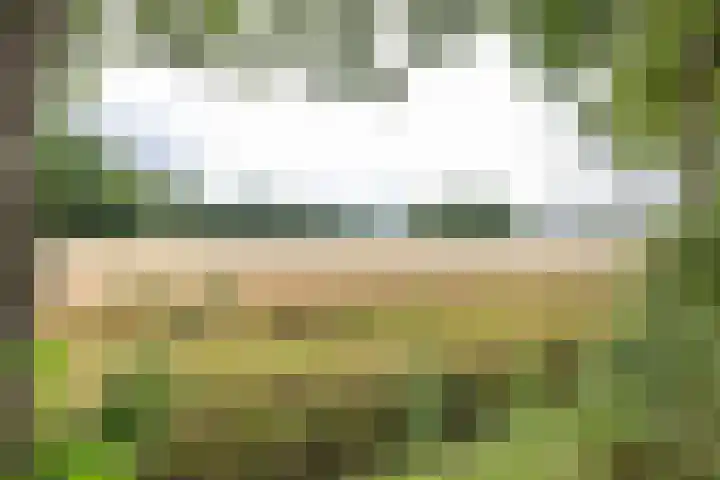 Boerzand 11 Tynaarlo thumbnail 51