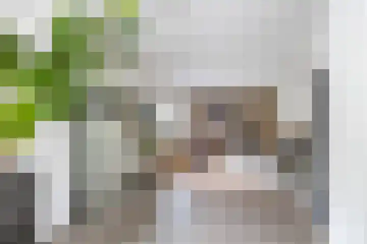 Boerzand 11 Tynaarlo thumbnail 7