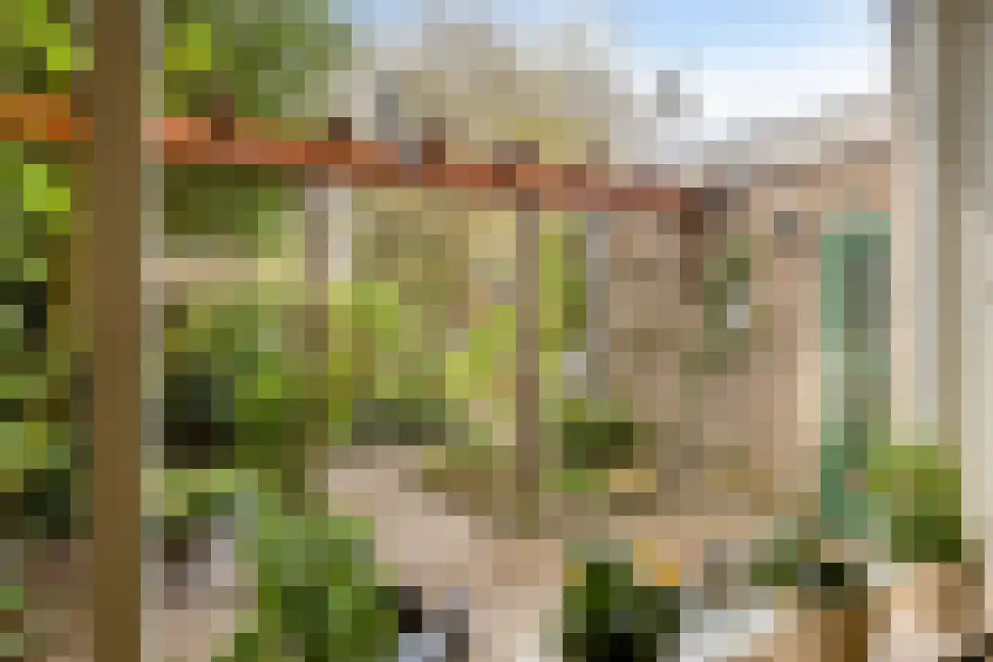 Boerzand 2 Tynaarlo thumbnail 11