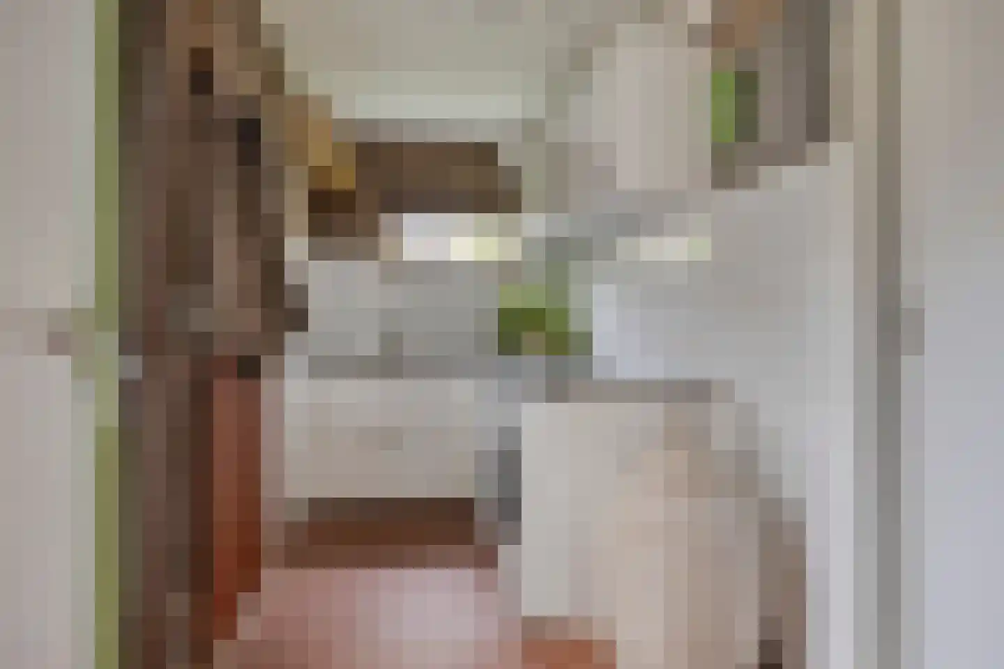 Boerzand 2 Tynaarlo thumbnail 17