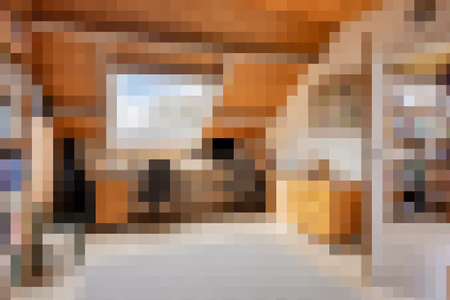 Boerzand 2 Tynaarlo thumbnail 32