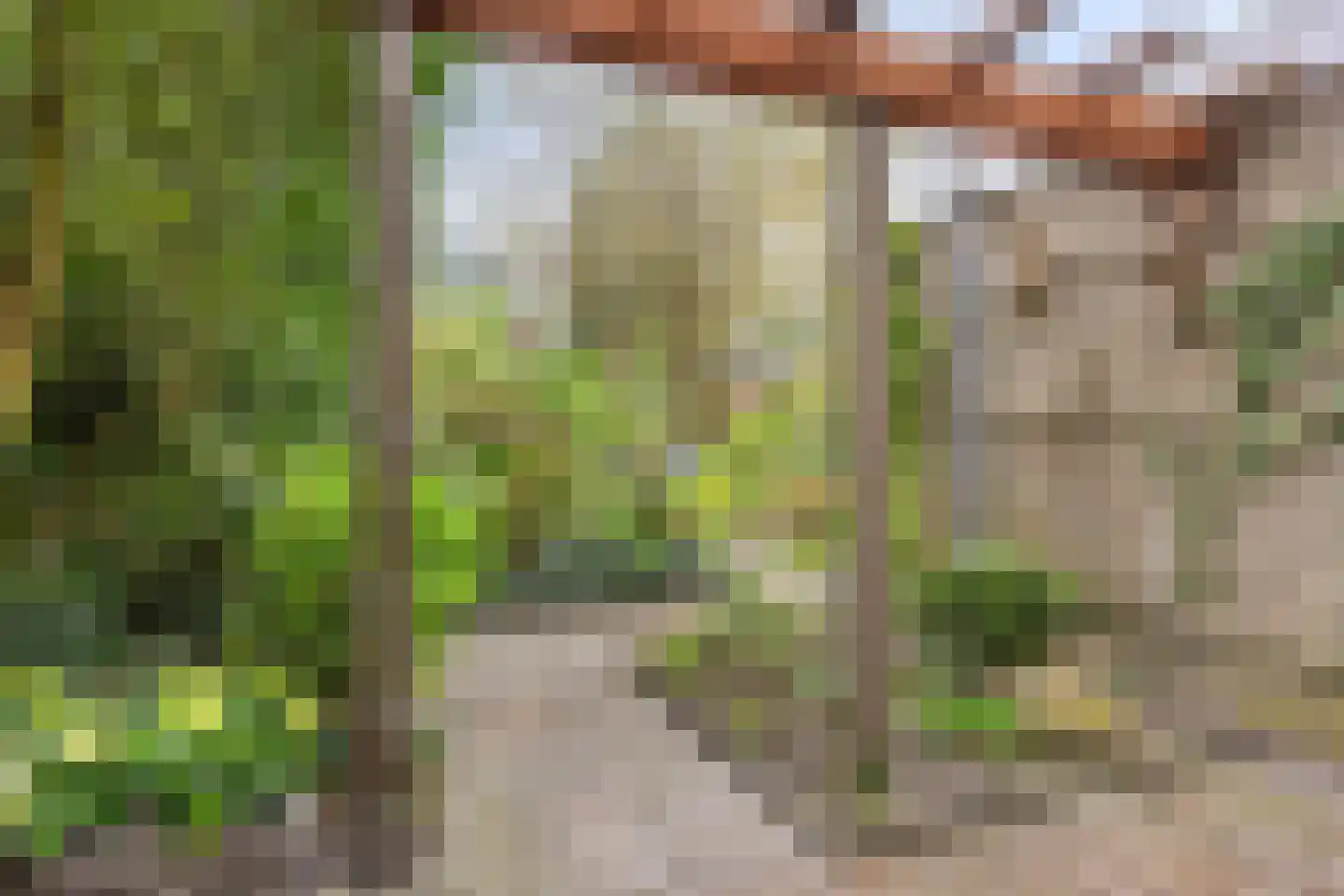 Boerzand 2 Tynaarlo thumbnail 34