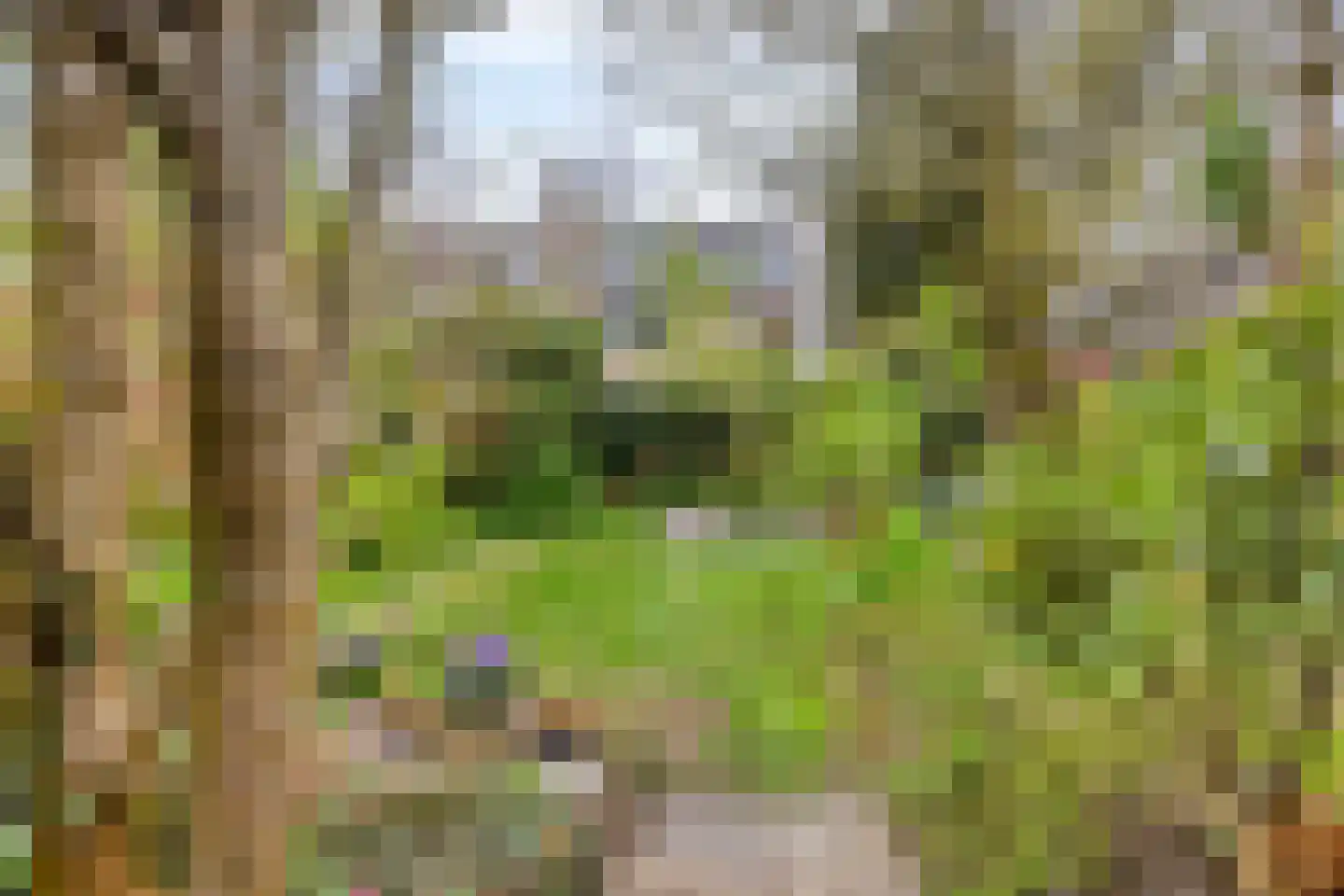 Boerzand 2 Tynaarlo thumbnail 35