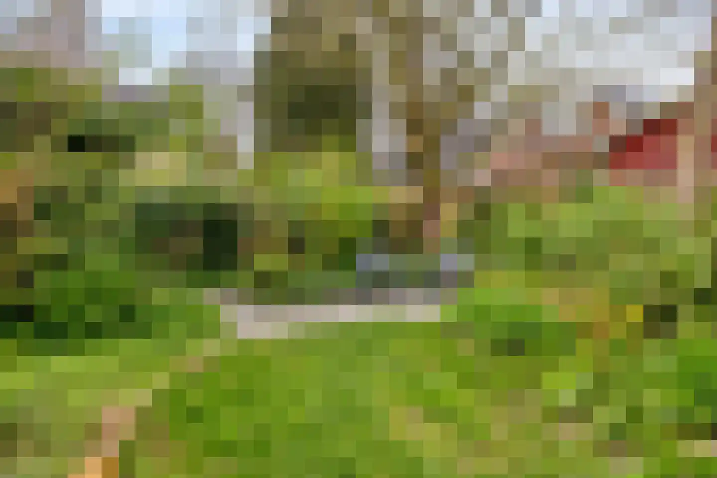Boerzand 2 Tynaarlo thumbnail 36