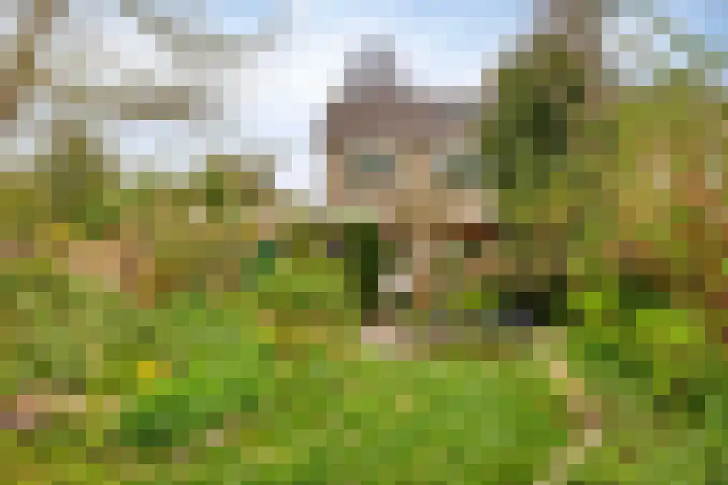 Boerzand 2 Tynaarlo thumbnail 37