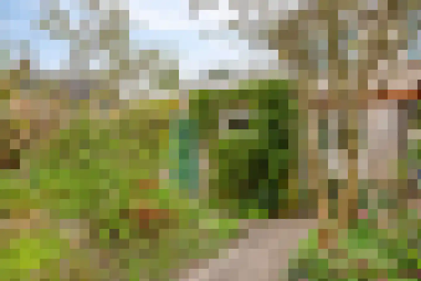 Boerzand 2 Tynaarlo thumbnail 38