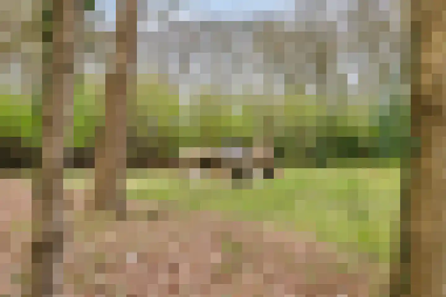 Boerzand 2 Tynaarlo thumbnail 45
