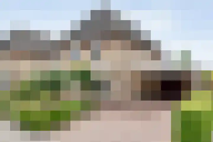 Boesemeer 5 Hardenberg