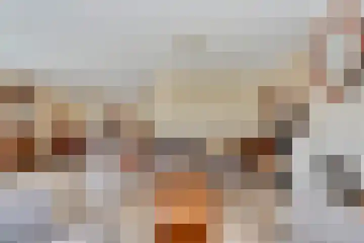 Boesemeer 5 Hardenberg thumbnail 14