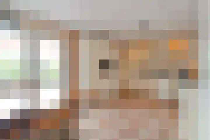 Boesemeer 5 Hardenberg thumbnail 21