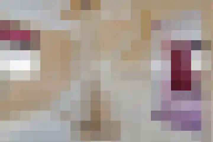 Boesemeer 5 Hardenberg thumbnail 32