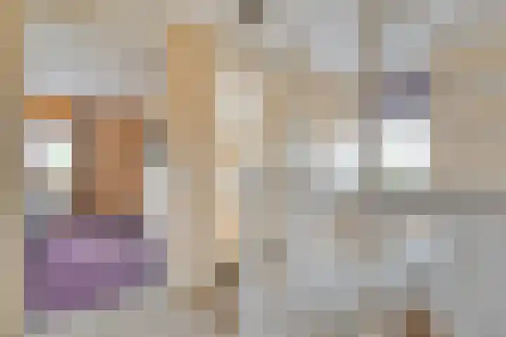 Boesemeer 5 Hardenberg thumbnail 33